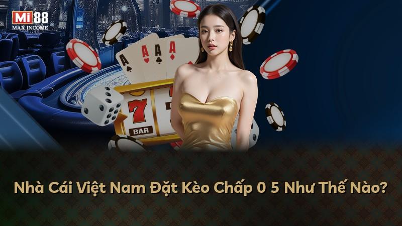 Nhà Cái Việt Nam Đặt Kèo Chấp 0 5 Như Thế Nào?